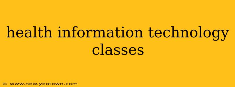 health information technology classes