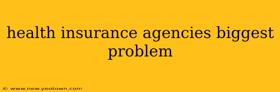 health insurance agencies biggest problem