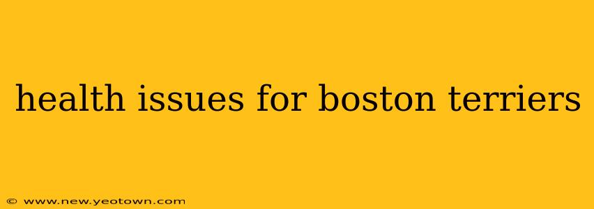 health issues for boston terriers