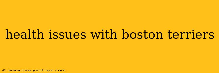 health issues with boston terriers