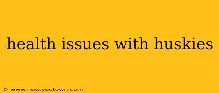 health issues with huskies