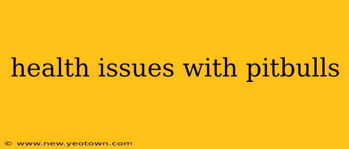 health issues with pitbulls