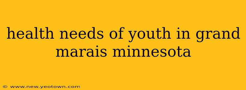 health needs of youth in grand marais minnesota