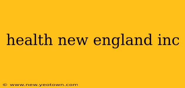 health new england inc