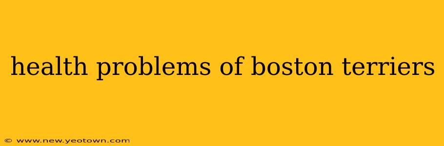 health problems of boston terriers