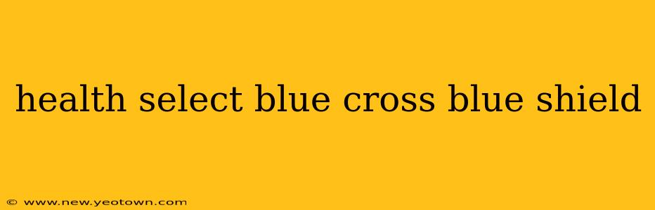 health select blue cross blue shield