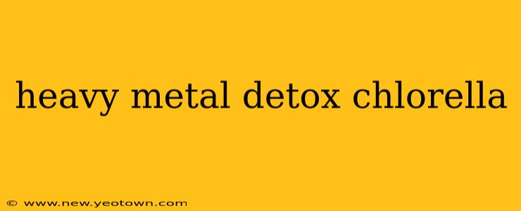 heavy metal detox chlorella