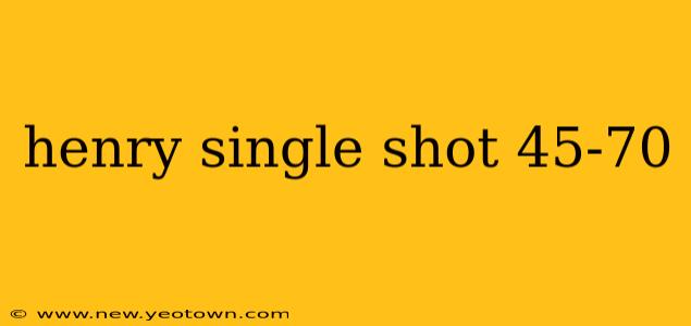 henry single shot 45-70