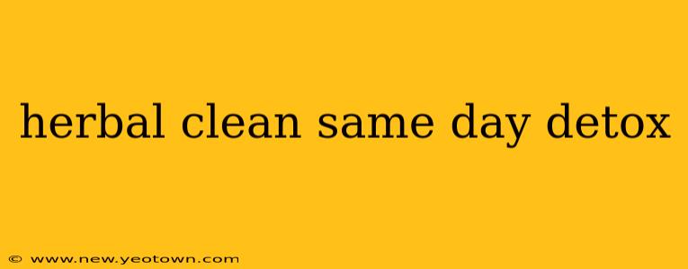herbal clean same day detox