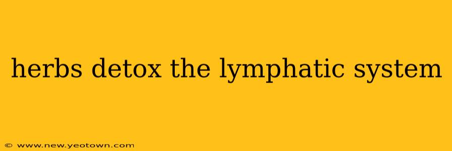 herbs detox the lymphatic system