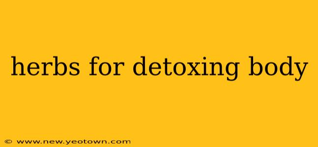 herbs for detoxing body