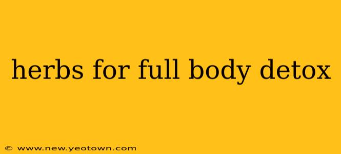 herbs for full body detox