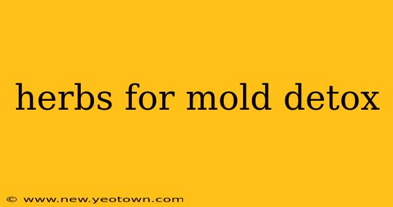 herbs for mold detox