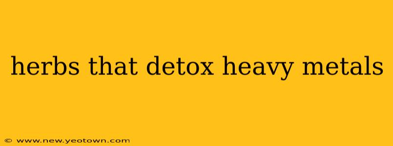 herbs that detox heavy metals