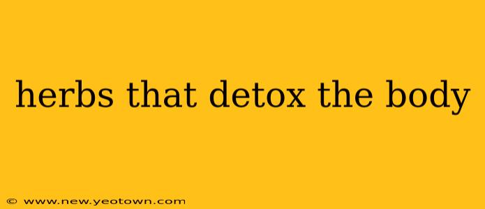 herbs that detox the body