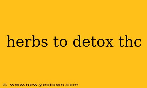 herbs to detox thc