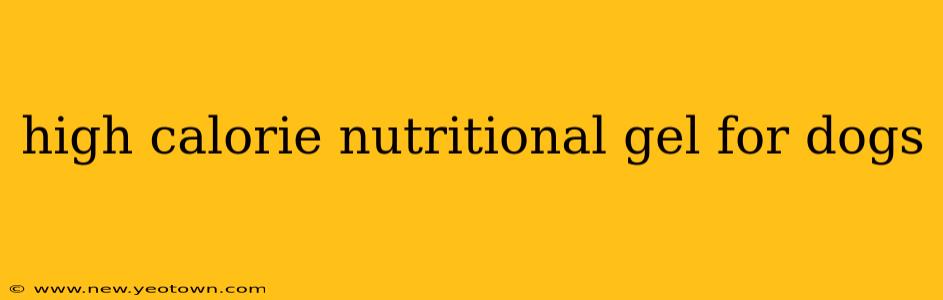 high calorie nutritional gel for dogs