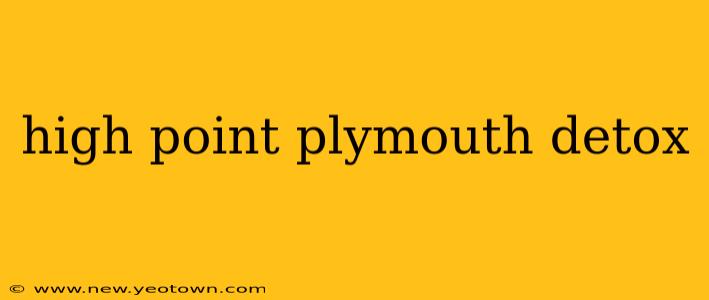 high point plymouth detox