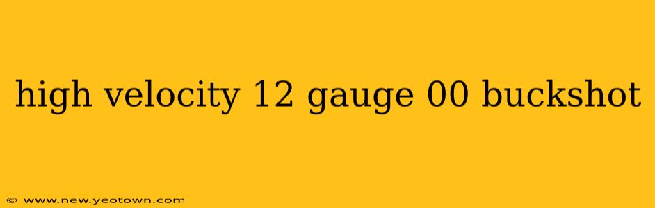 high velocity 12 gauge 00 buckshot