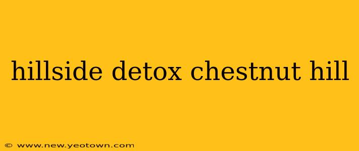 hillside detox chestnut hill