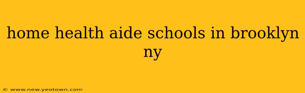 home health aide schools in brooklyn ny