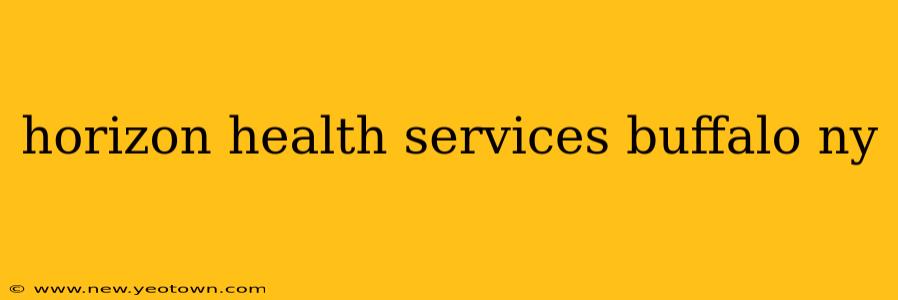 horizon health services buffalo ny