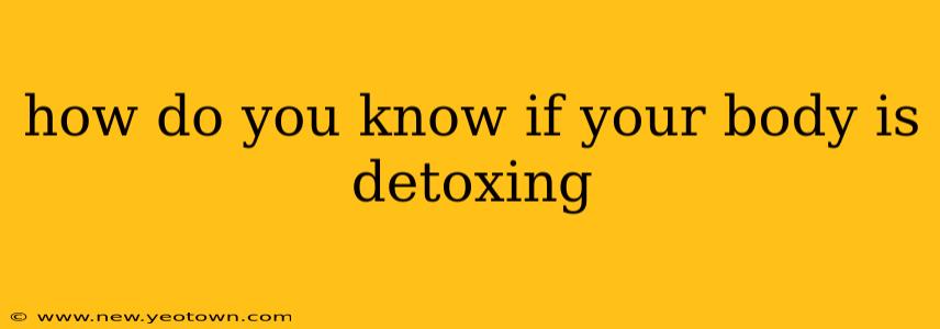 how do you know if your body is detoxing