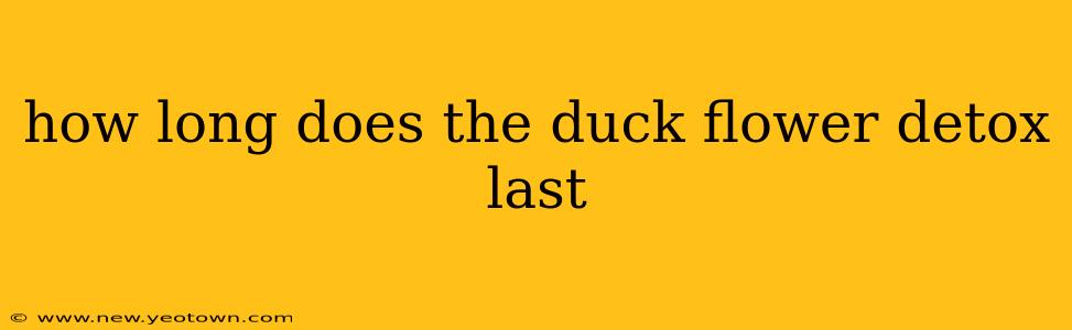 how long does the duck flower detox last