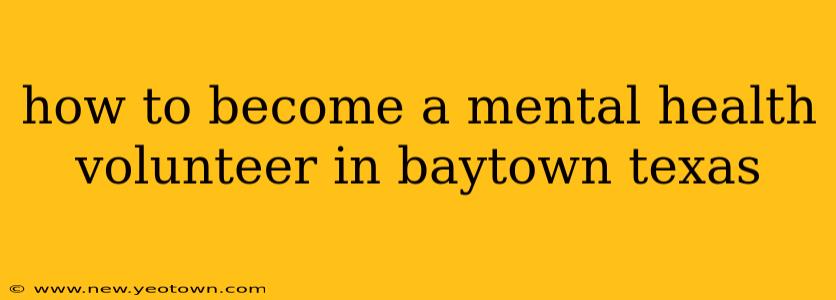 how to become a mental health volunteer in baytown texas