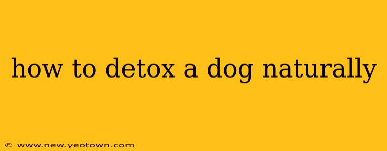 how to detox a dog naturally