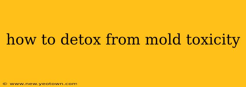 how to detox from mold toxicity