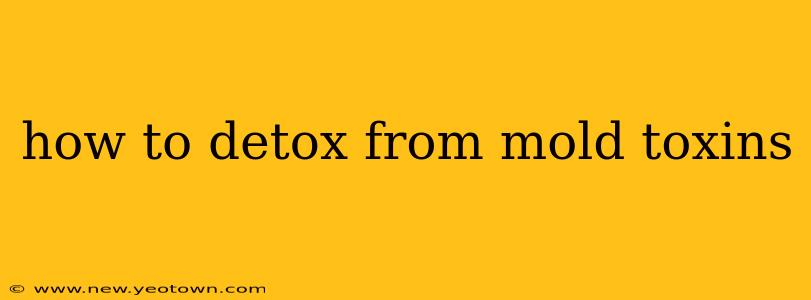 how to detox from mold toxins