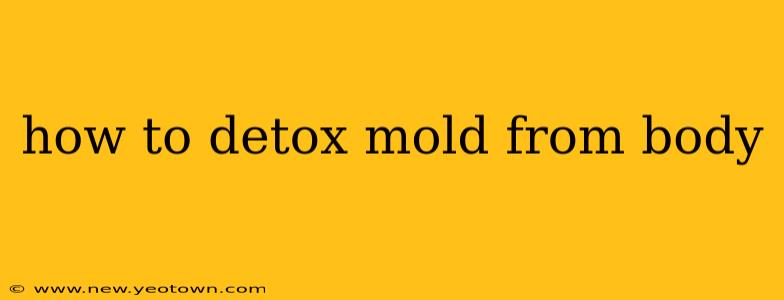 how to detox mold from body