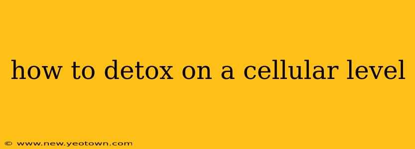 how to detox on a cellular level