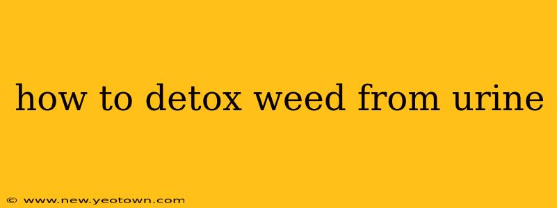 how to detox weed from urine