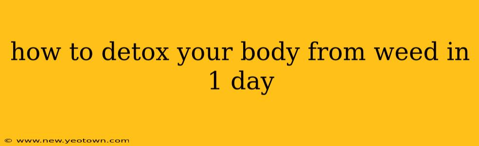 how to detox your body from weed in 1 day