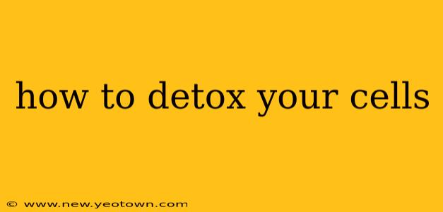 how to detox your cells