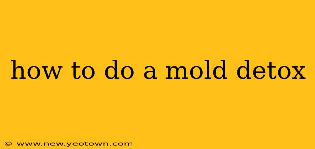 how to do a mold detox