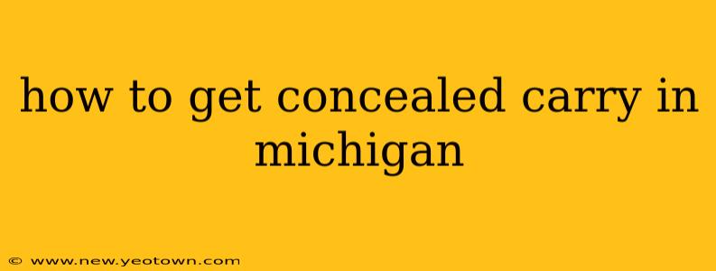 how to get concealed carry in michigan