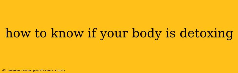 how to know if your body is detoxing