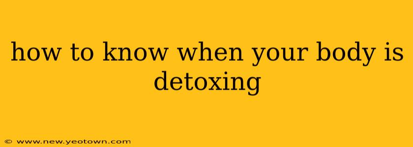 how to know when your body is detoxing
