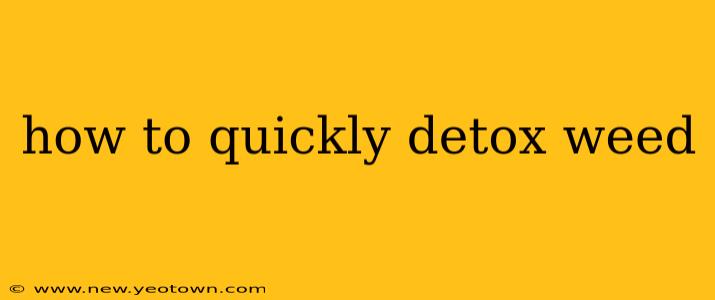 how to quickly detox weed