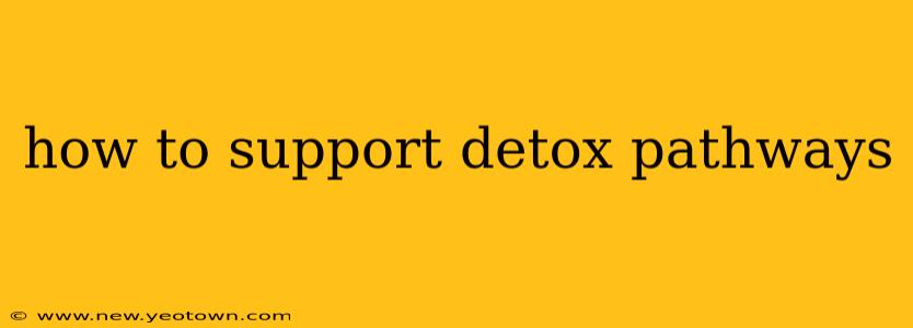 how to support detox pathways