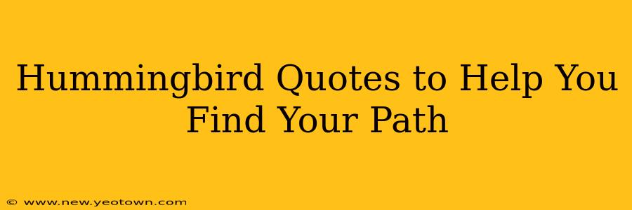Hummingbird Quotes to Help You Find Your Path