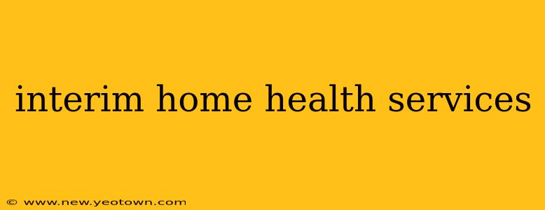 interim home health services