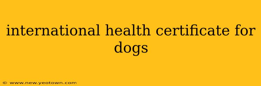 international health certificate for dogs