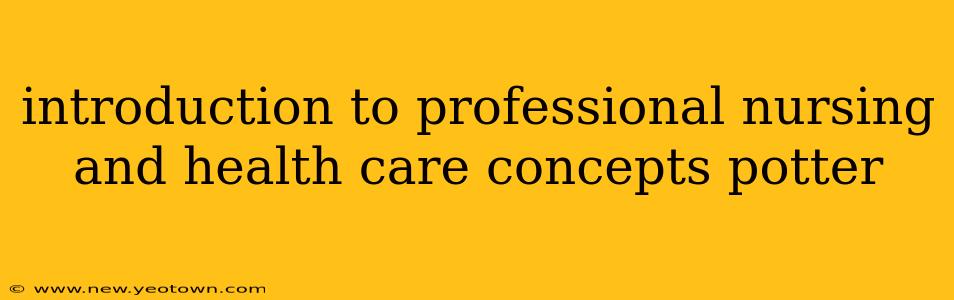 introduction to professional nursing and health care concepts potter