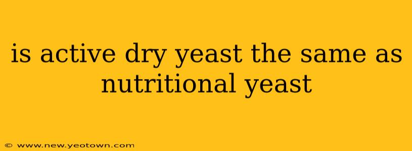 is active dry yeast the same as nutritional yeast