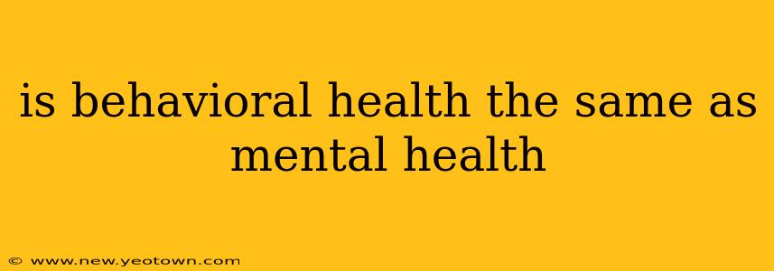is behavioral health the same as mental health