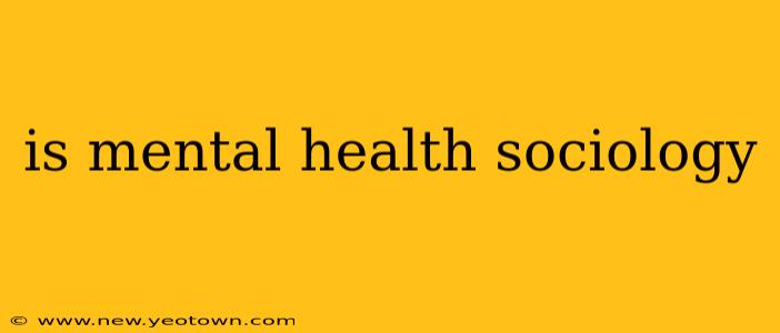 is mental health sociology